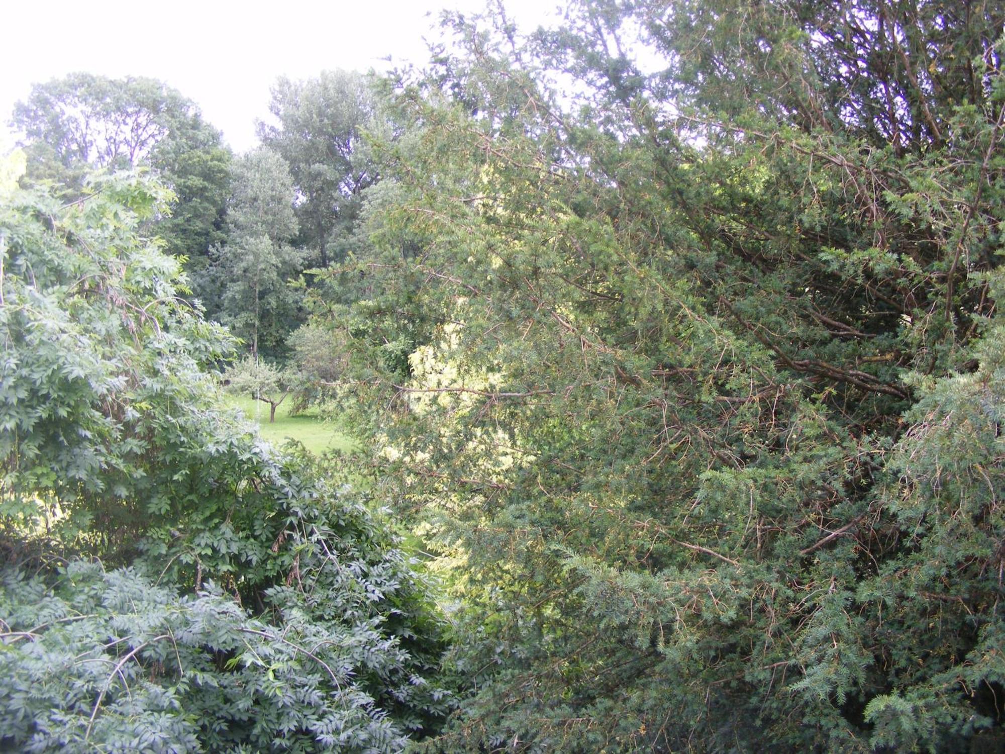 Les Lilas Des Deux Ponts Deux Rivieres Ngoại thất bức ảnh